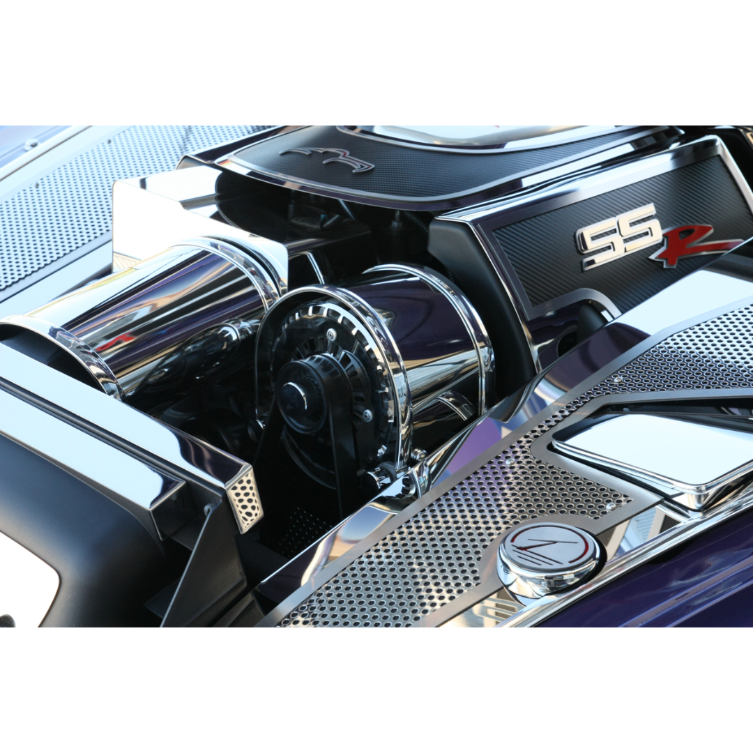 SSR Fuel Rail Covers Carbon Fiber Deluxe 2003-2004